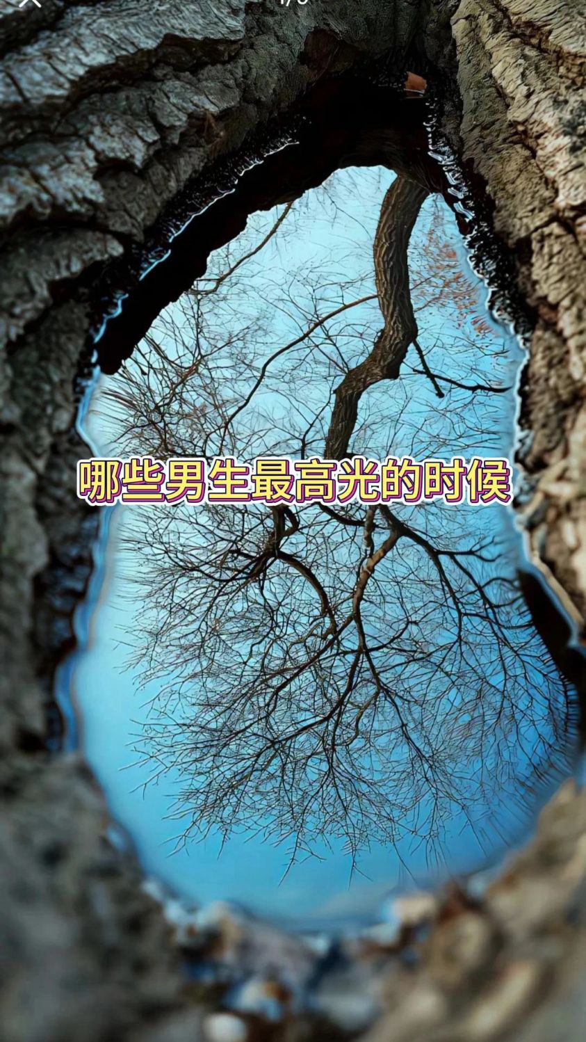 高光集锦:那些令人振奋的精彩瞬间!的简单介绍 高光集锦:那些令人振奋的精彩瞬间!的简单介绍