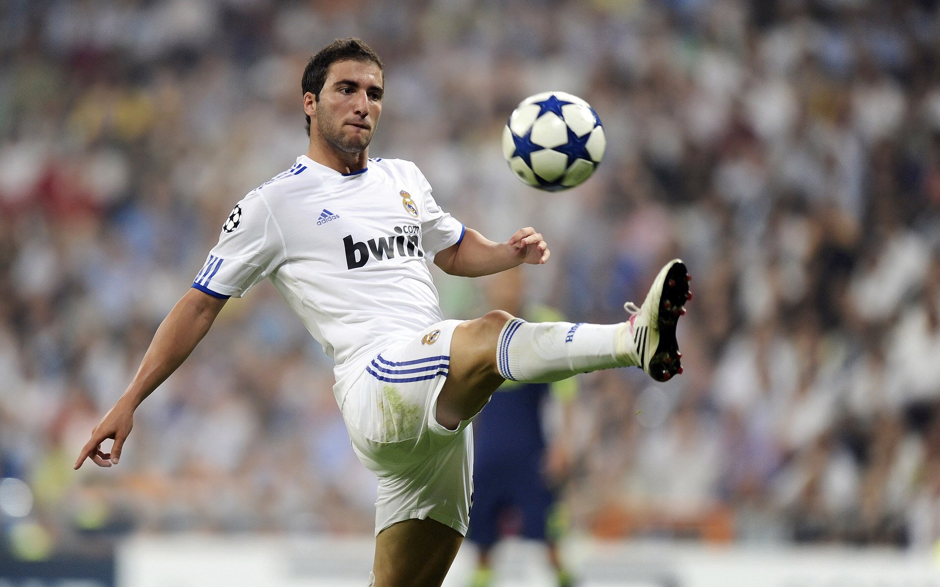 开云官方网站-阿根廷蝉联美洲杯冠军，连续三大赛夺冠，阿根廷美洲杯冠军之路